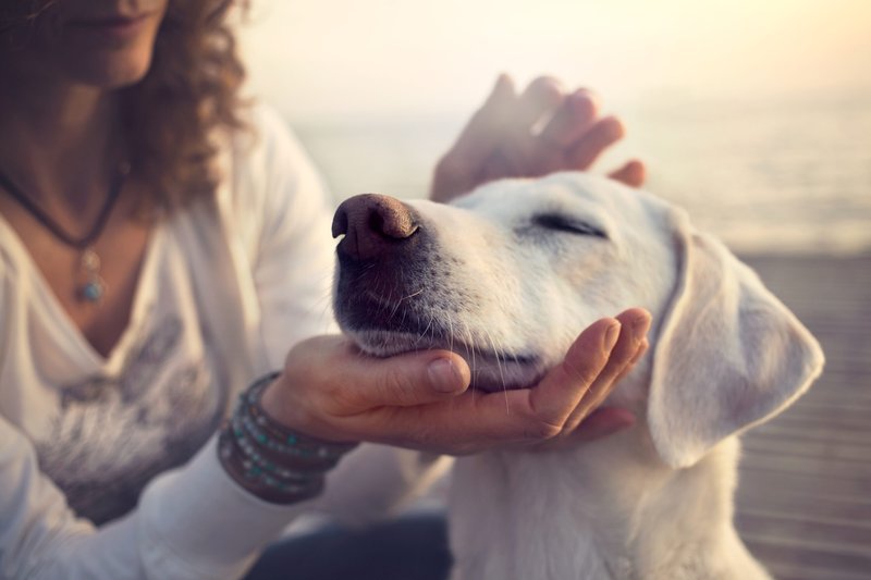 Refer a Friend and save 50 dollars