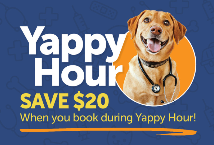 Yappy Hour