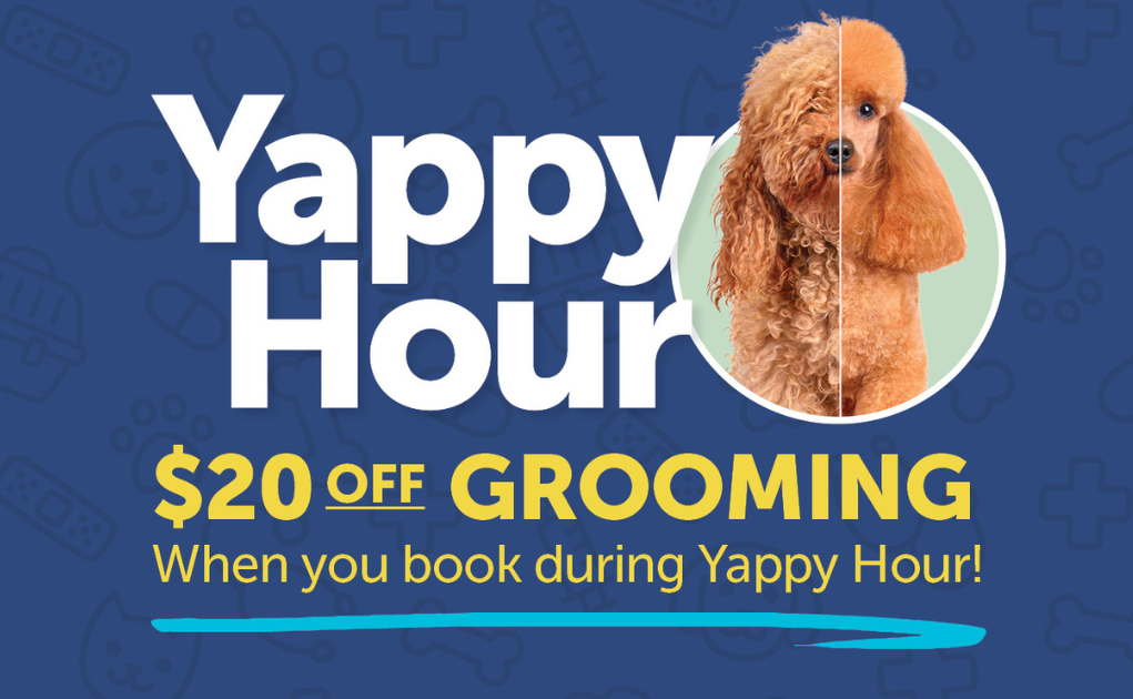 Yappy Hour