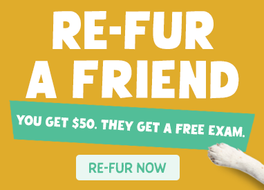 Refer a Friend and save 50 dollars