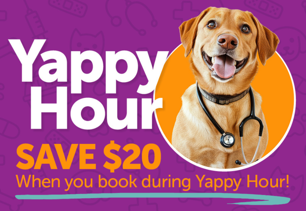 Yappy Hour